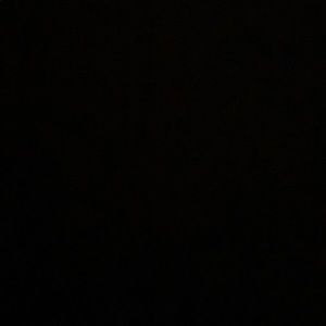 Meet your Posher, Pacey